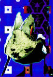 LYSTULPAN